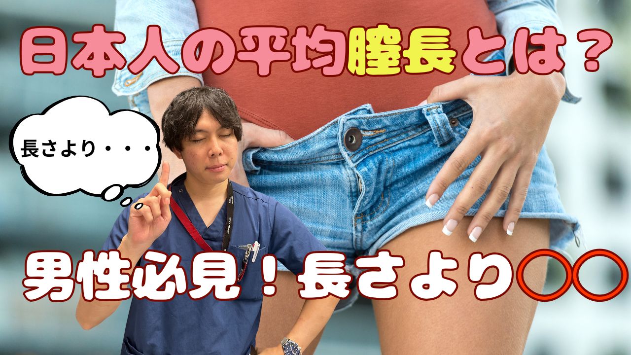 「女性骨盤の断面図における膣と子宮の位置関係を示す医療イラスト。平均膣長7〜10cm、子宮頸部との接続部、Gスポット・ポルチオの位置を明示。」