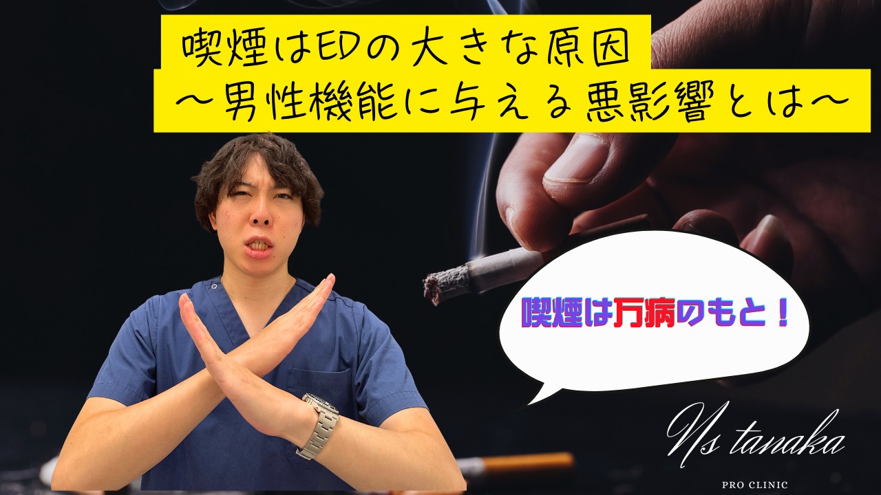 タバコとEDの関係を示す男性の血管イメージと、喫煙による勃起不全リスクを説明する図解