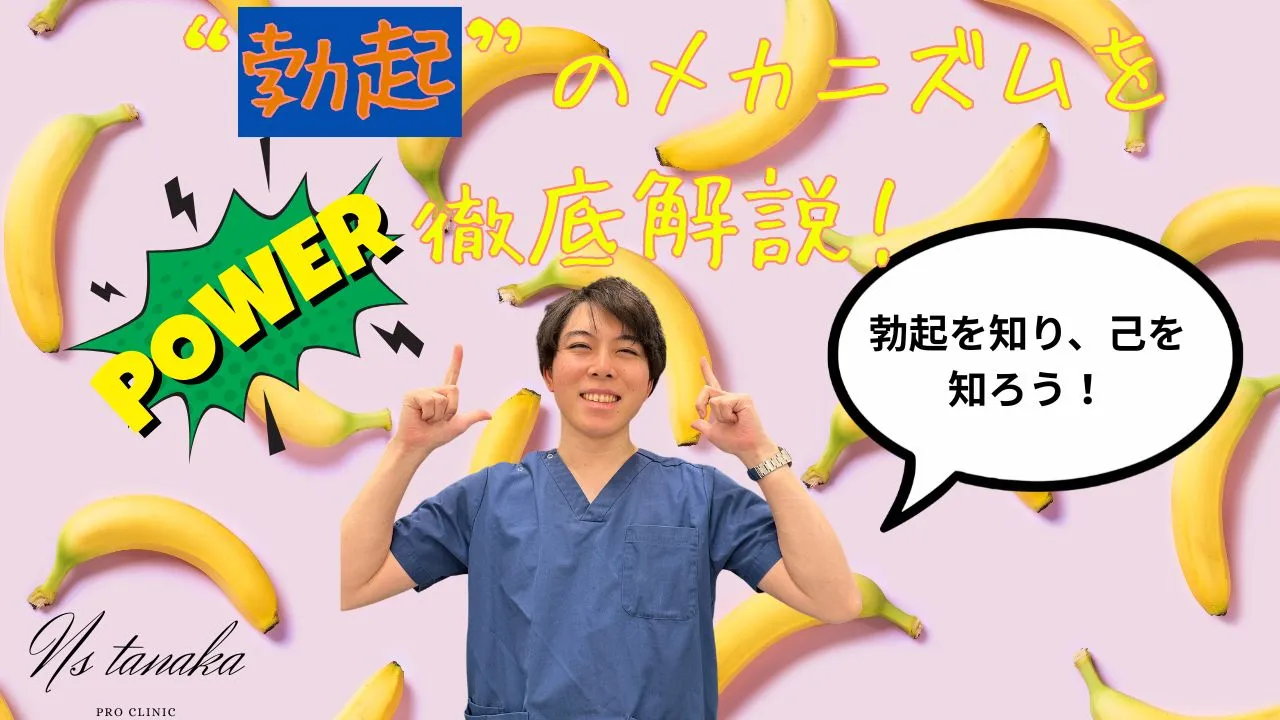 勃起の仕組みとEDの原因を解説｜血流・海綿体・血管拡張のメカニズムとED治療注射の効果